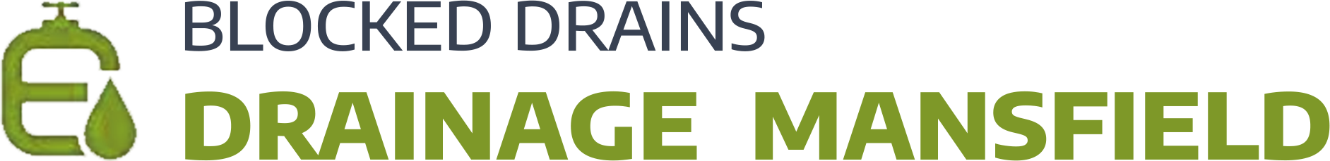 website logo
